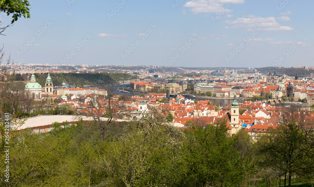 Spring Prague City with the green Nature and flowering Trees, Czech Republic