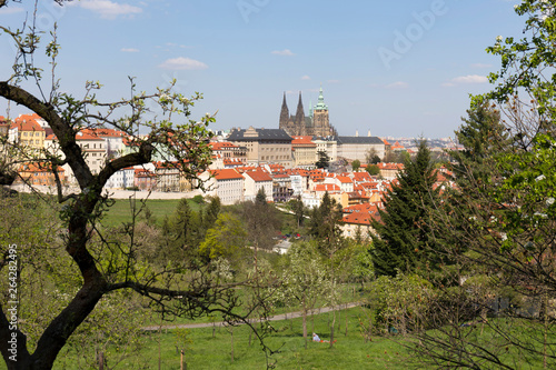 Spring Prague City with gothic Castle and the green Nature and flowering Trees, Czech Republic