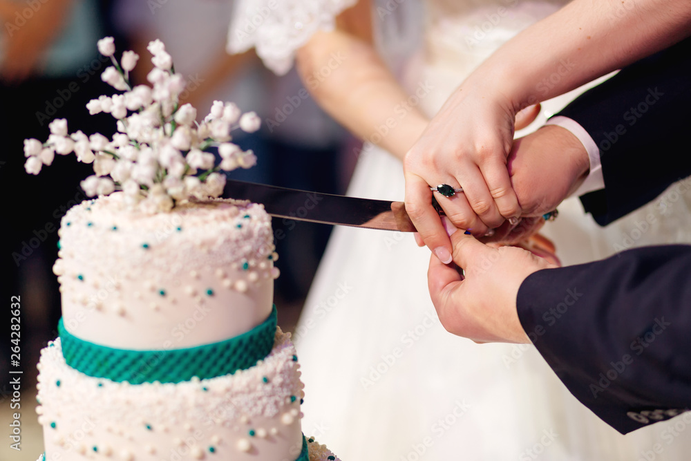 newlyweds cut a wedding cake. Hold knife together and cut the ca newlyweds cut a wedding cake. Hold knife together and cut the ca