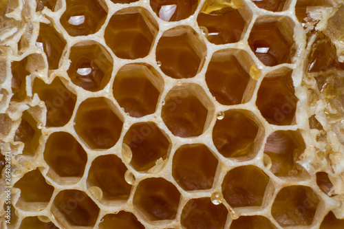 honeycomb with drop of honey on the surface