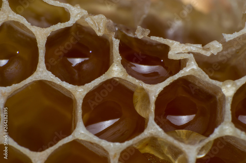 honeycomb with drop of honey on the surface