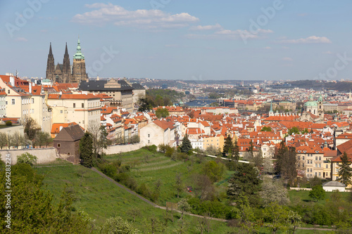 Spring Prague City with gothic Castle and the green Nature and flowering Trees, Czech Republic