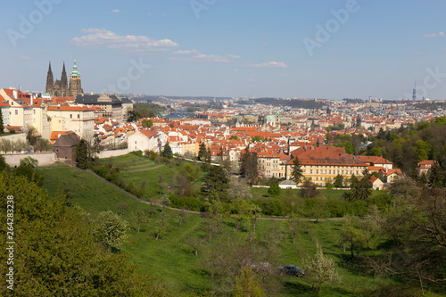 Spring Prague City with gothic Castle and the green Nature and flowering Trees, Czech Republic