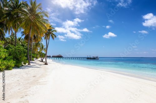 Tropischer Paradiesstrand auf den Malediven mit Palmen  t  rkisem Ozean und blauem Himmel