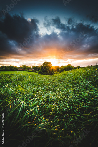 Sunset over field