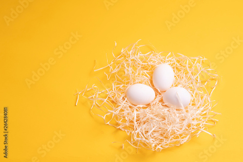 eggs in a nest on a yellow background