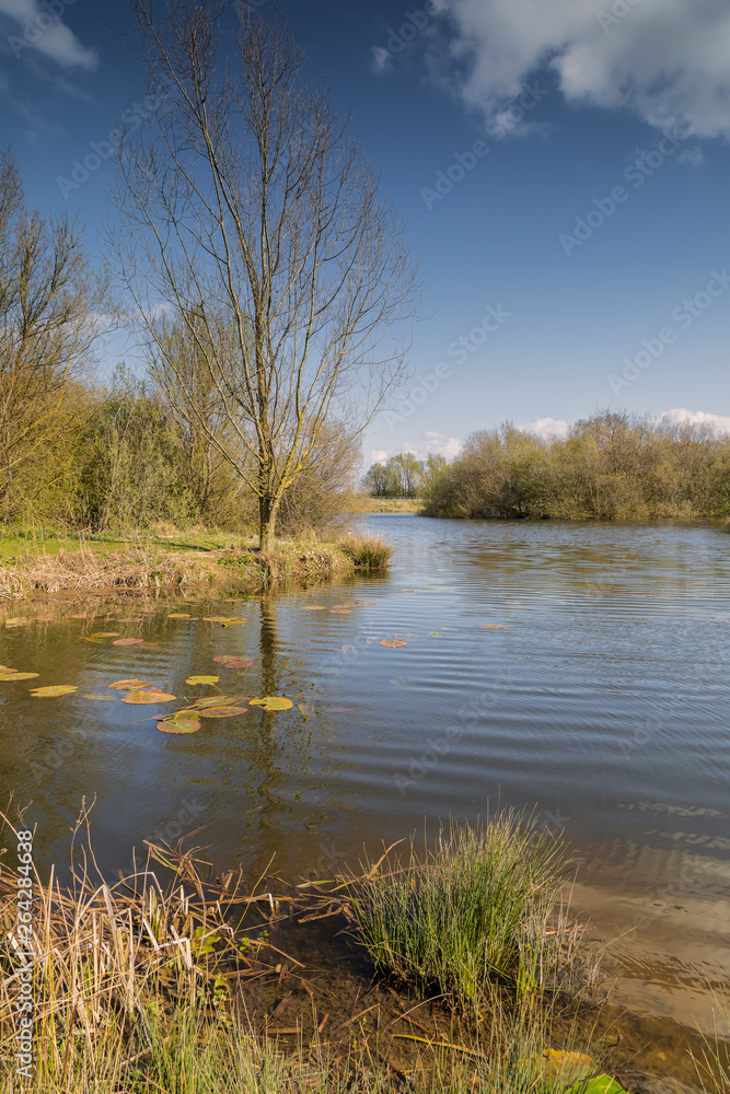 Springtime At Frisby Lakes / An image of Frisby Lakes stock ponds on a beautiful spring day in Leicestershire, England, UK