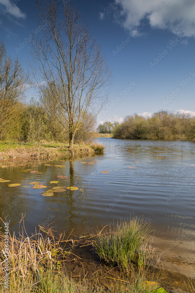 Springtime At Frisby Lakes / An image of Frisby Lakes stock ponds on a beautiful spring day in Leicestershire, England, UK Springtime At Frisby Lakes / An image of Frisby Lakes stock ponds on a beautiful spring day in Leicestershire, England, UK