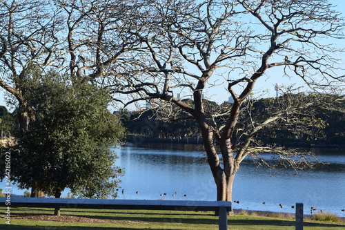 Park, Lake & City Skyline