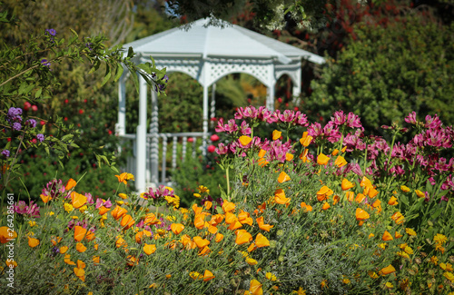 Blooming Flowers in front of a White Gazebo at South Coast Botanic Garden, Palos Verdes, California