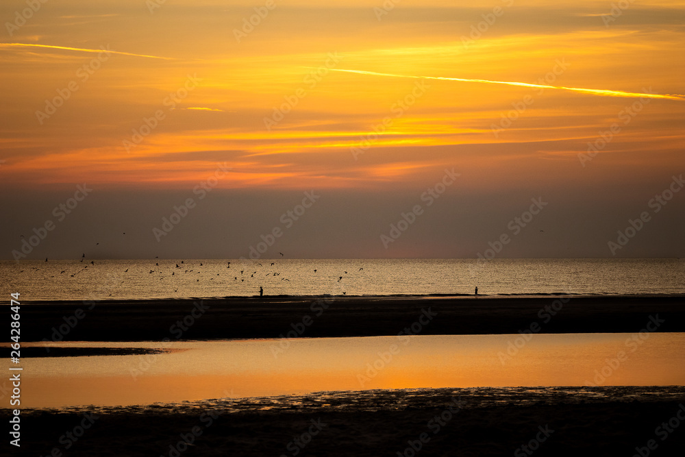 Fototapeta premium Coucher de soleil, plage de Fort Mahon
