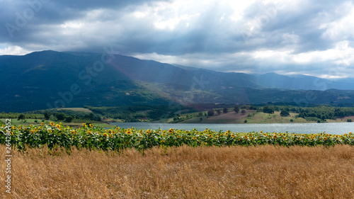 Clouds Sunrays Sunflower Fields Kestel Bursa Turkey