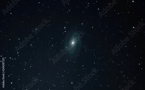Bode's Nebula M81