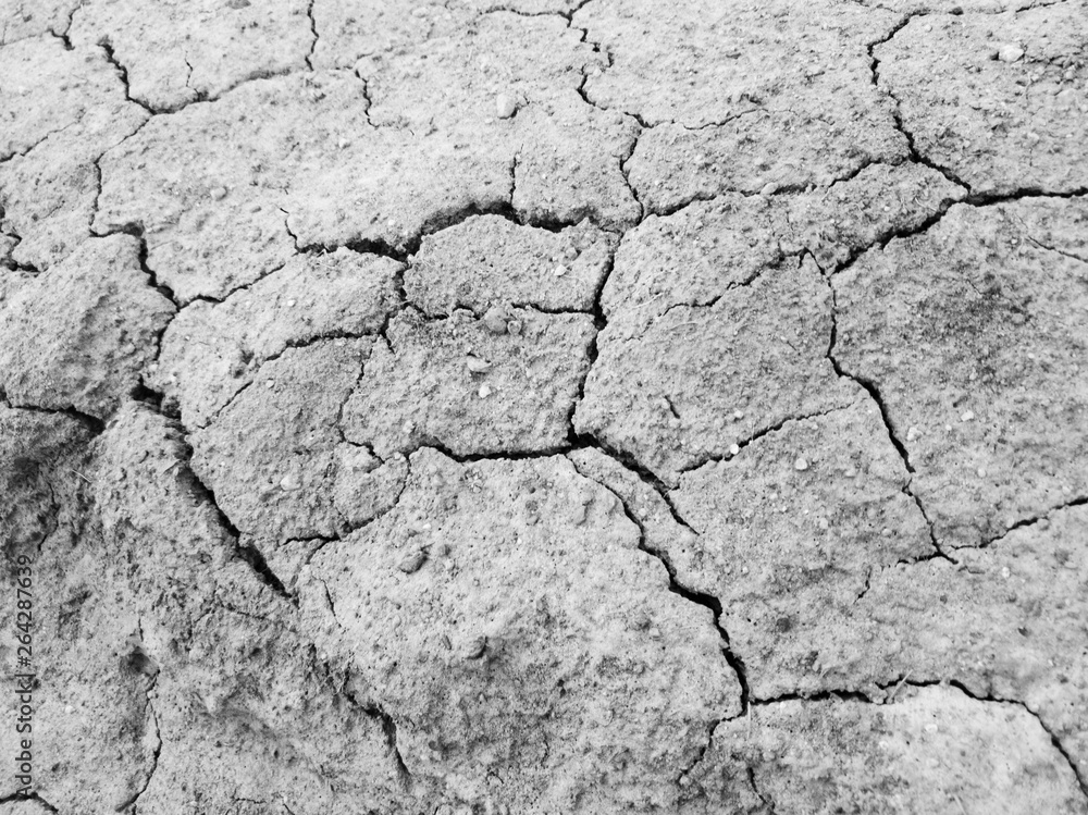 Cracked dried ground.Dried earth and grass close-up Cracked dried ground.Dried earth and grass close-up