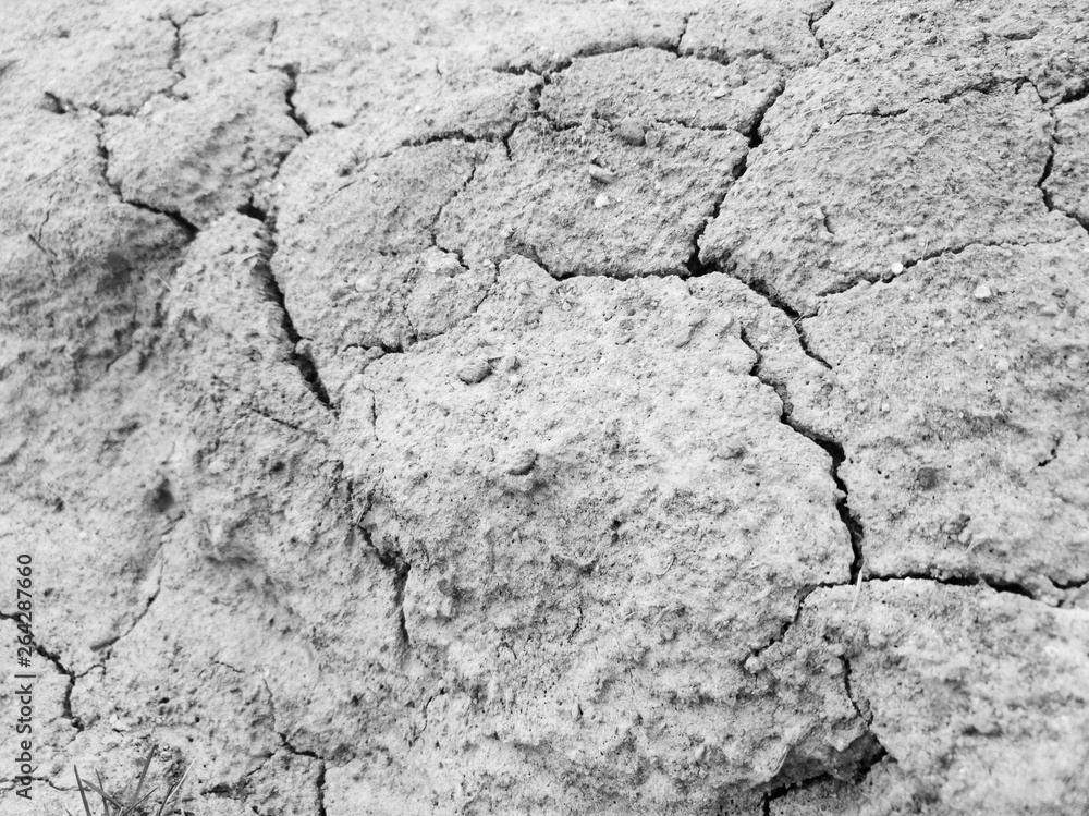 Fototapeta premium Cracked dried ground.Dried earth and grass close-up