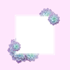 Frame of succulents for text. Succulents closeup. Elements of a tropical plant for design.