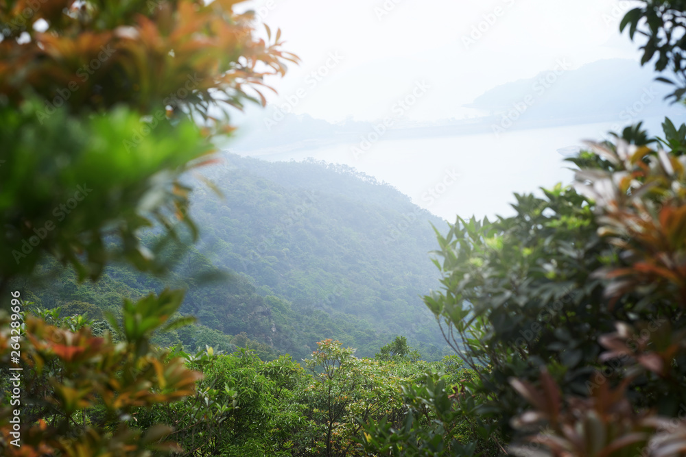 Beautiful lush green nature with forestal mountains, stones and fog. Beautiful lush green nature with forestal mountains, stones and fog.