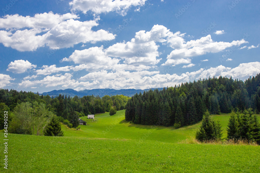 Obraz premium Beautiful Pastures of Triglav National Park, Julian Alps, Slovenia