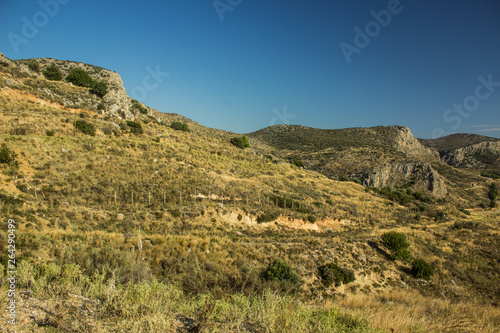 rural hill land country side nature scenery landscape environment in south west USA near Mexico 