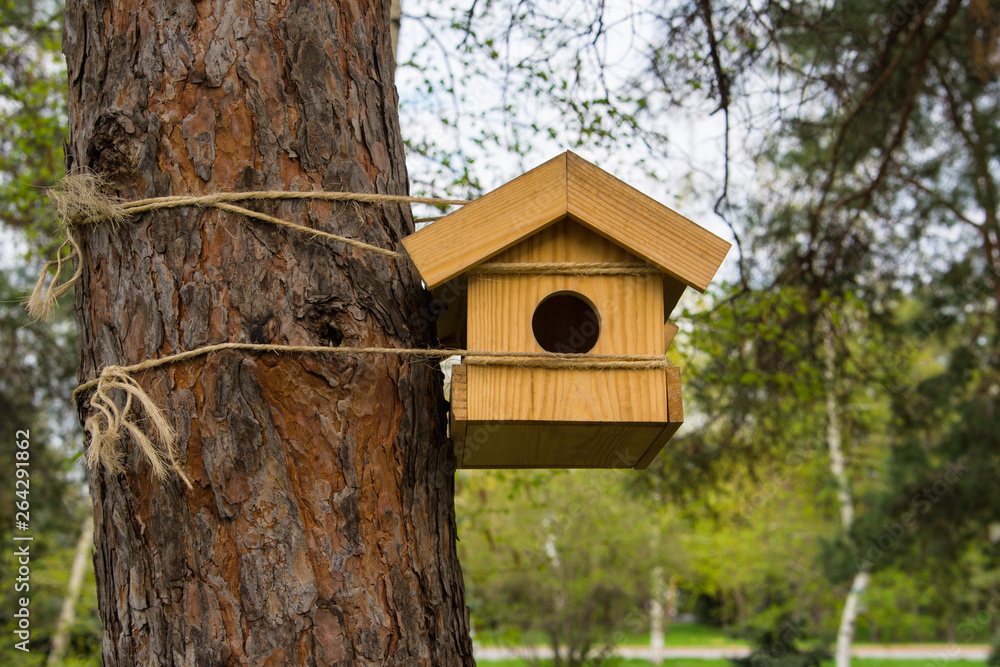 Naklejka premium The Bird Houses In The Park. New Wooden Nesting Box In The Park.