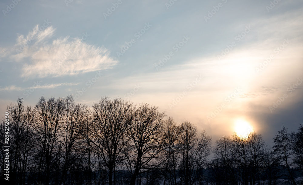 impressive sunset in the winter with clouds and some trees in the european alps on a cold day in winter