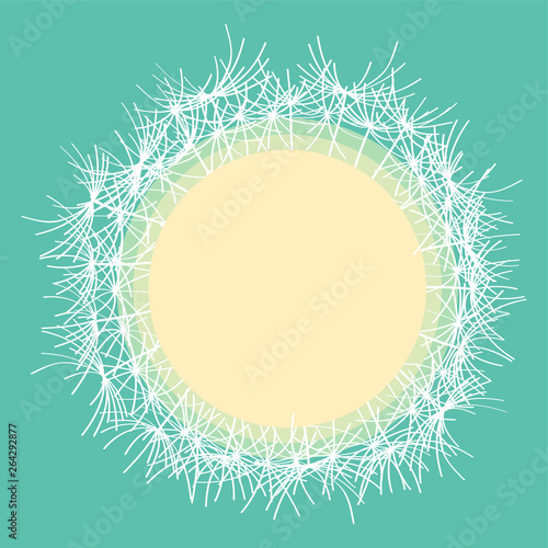 One creamy giant dandelion blossom_turquoise background by jziprian