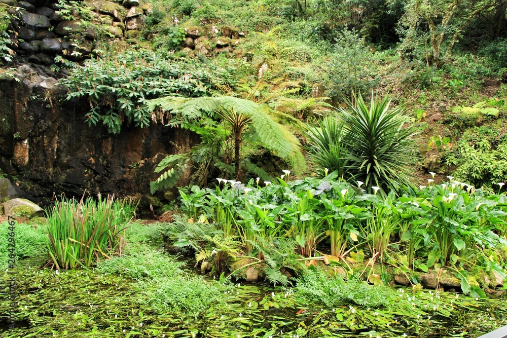 Leafy and green gardens in Sintra Leafy and green gardens in Sintra
