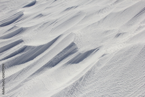 冬の風景/風紋のついた雪原(宮城県)