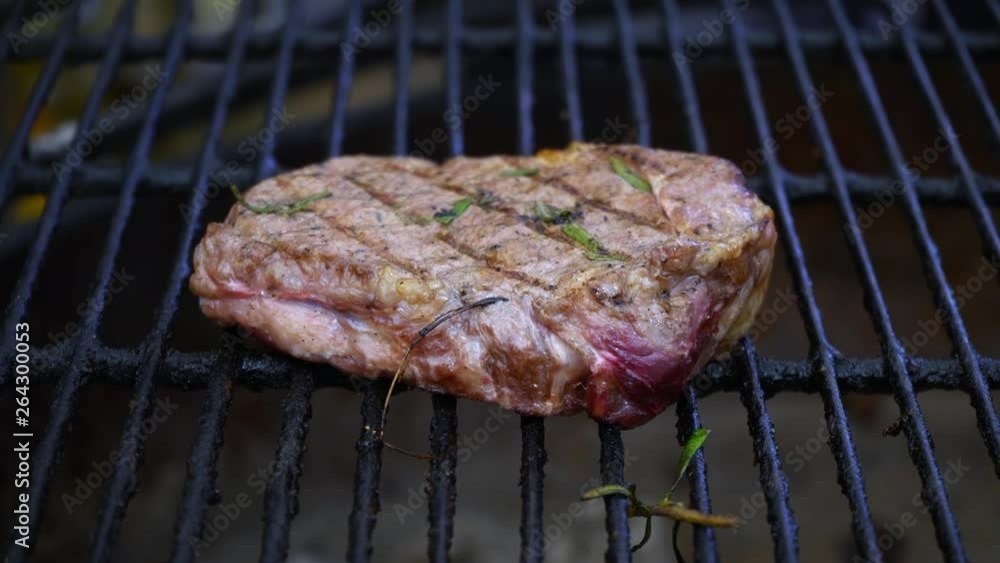 Steak. A large piece of meat to roast on the grill. Meat of an animal. Meat of various roasting: extra-rare, blue, rare, medium rare, medium, medium well, well done, too well done, overcooked Steak. A large piece of meat to roast on the grill. Meat of an animal. Meat of various roasting: extra-rare, blue, rare, medium rare, medium, medium well, well done, too well done, overcooked