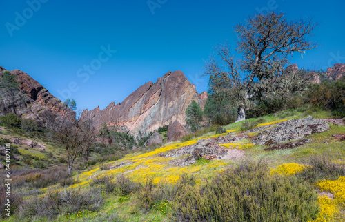 Machete Ridge and Poppy/Pinnacles National Park in California