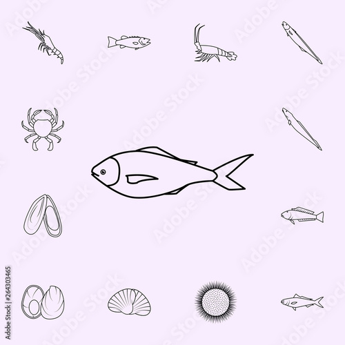 blue warehou icon. Fish icons universal set for web and mobile photo