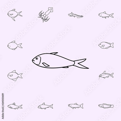 deep body sardine icon. Fish icons universal set for web and mobile