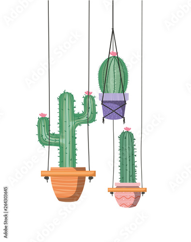cactus on macrame hangers isolated icon