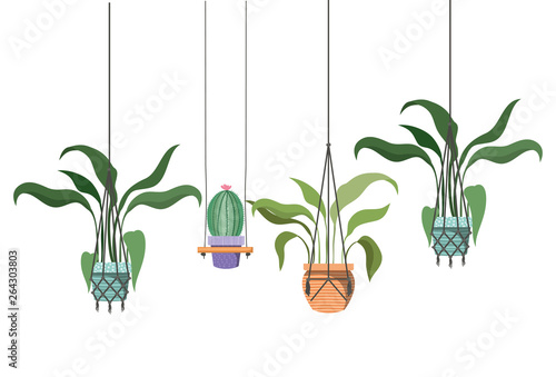 houseplants on macrame hangers icon
