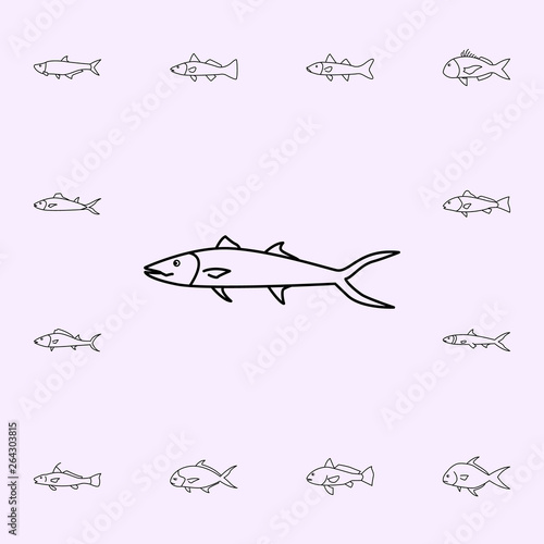 king mackerel icon. Fish icons universal set for web and mobile