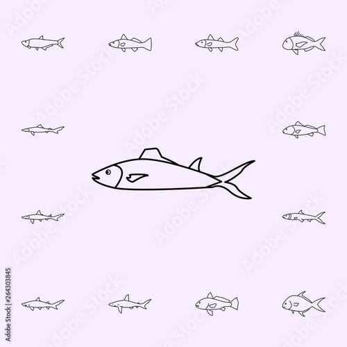 spanish mackerel icon. Fish icons universal set for web and mobile