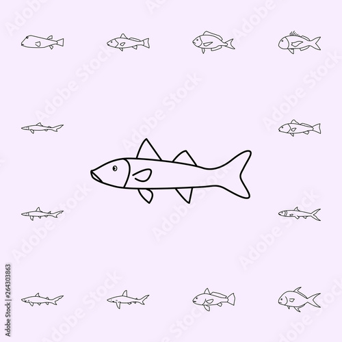 snook icon. Fish icons universal set for web and mobile