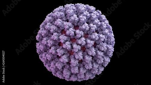 Bluetongue Virus (BTV) Capsid Structure based on PDB : 2BTV, 360 degree rotation loop