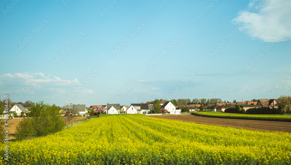Typical French village of Benfeld with multiple houses, large area of plowed fields, raps in bloom fields and clear blue sky with some clouds