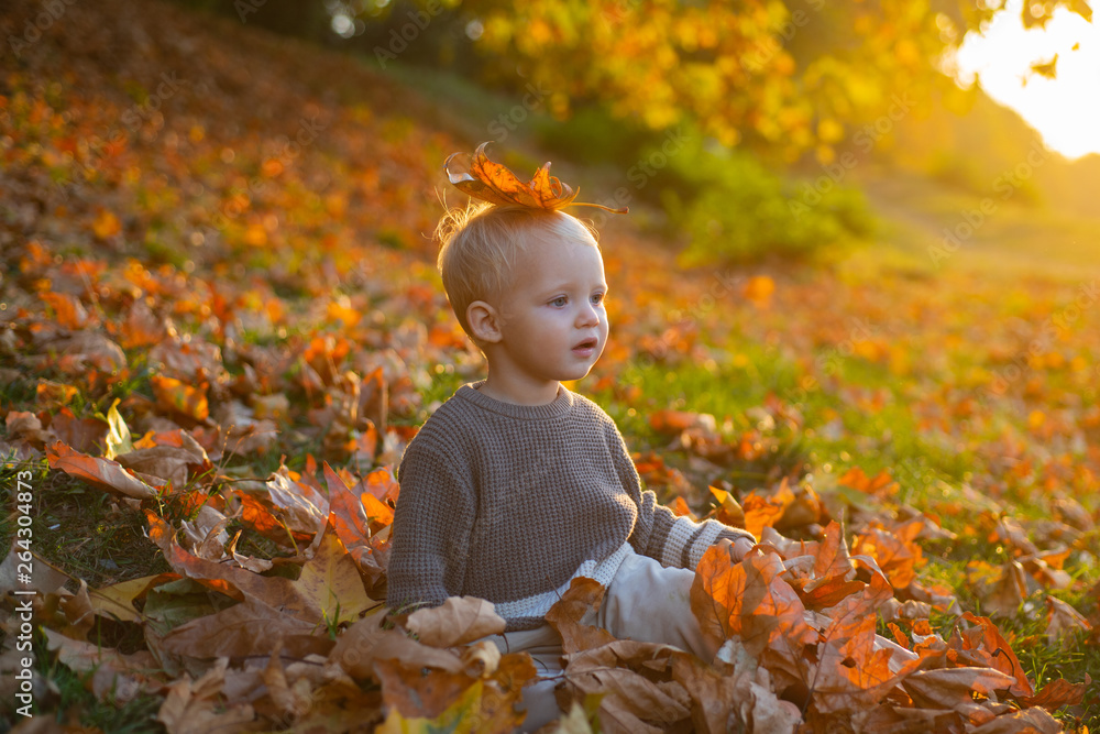 Child autumn leaves background. Warm moments of autumn. Toddler boy blue eyes enjoy autumn. Small baby toddler on sunny autumn day. Warmth and coziness. Happy childhood. Sweet childhood memories Child autumn leaves background. Warm moments of autumn. Toddler boy blue eyes enjoy autumn. Small baby toddler on sunny autumn day. Warmth and coziness. Happy childhood. Sweet childhood memories