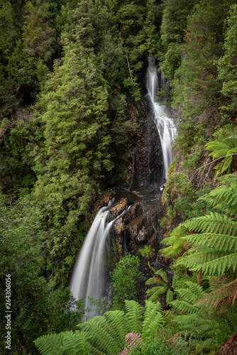 Double drop waterfall in a rainforest  Philosopher s Falls  Tasmania