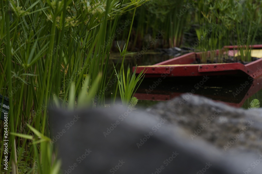 boat on the river