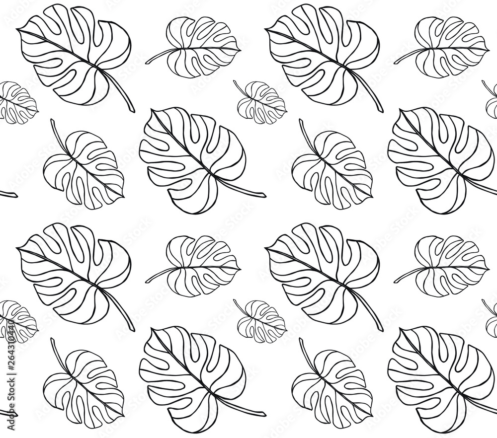Vector seamless pattern of monstera palm leaves isolated on white background 