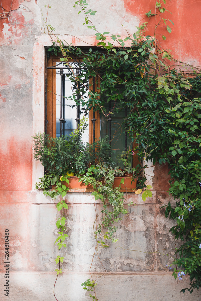 Fototapeta premium window with greenery