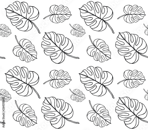Vector seamless pattern of monstera palm leaves isolated on white background 