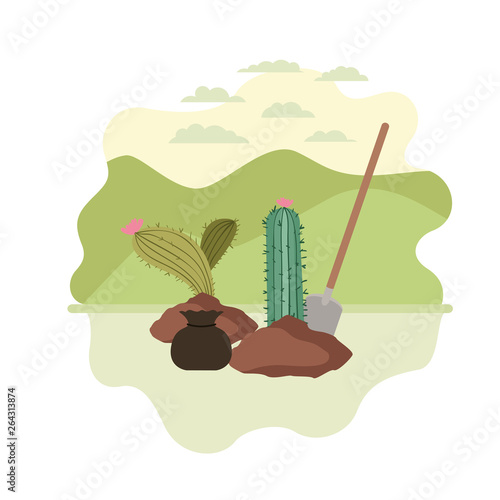 cactus to plant in landscape isolated icon