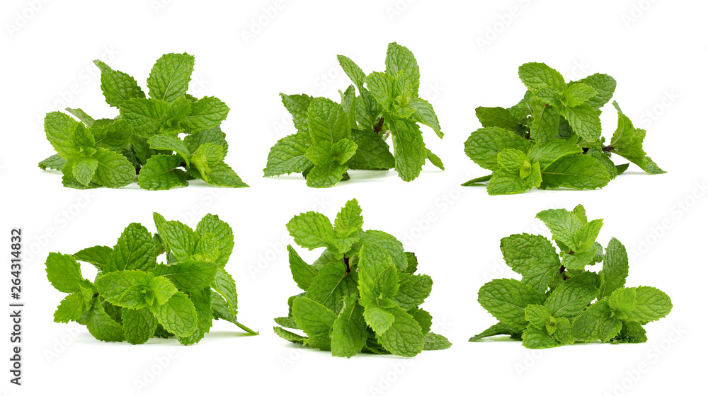 Fresh mint leaves isolated on white background. Fresh mint leaves isolated on white background.