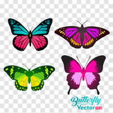 Many butterflies flying, isolated on transparent background