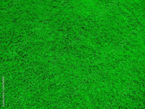 Natural grass texture pattern background. Green grass texture for background. Fresh green background.