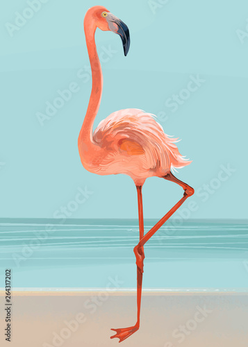 Hand drawn pink flamingo